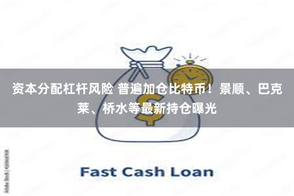 资本分配杠杆风险 普遍加仓比特币！景顺、巴克莱、桥水等最新持仓曝光