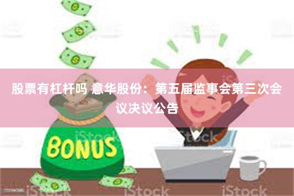 股票有杠杆吗 意华股份：第五届监事会第三次会议决议公告