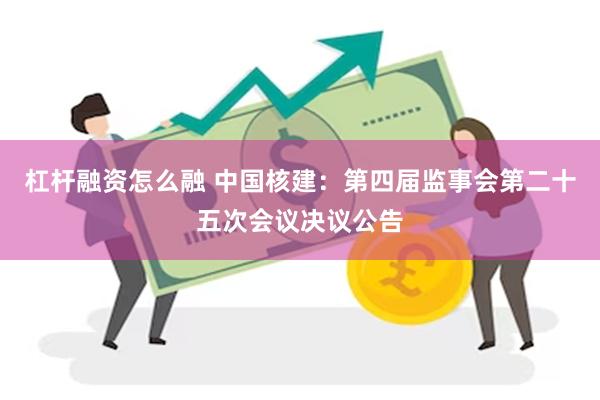 杠杆融资怎么融 中国核建：第四届监事会第二十五次会议决议公告