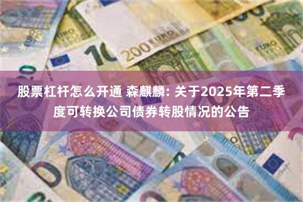 股票杠杆怎么开通 森麒麟: 关于2025年第二季度可转换公司债券转股情况的公告