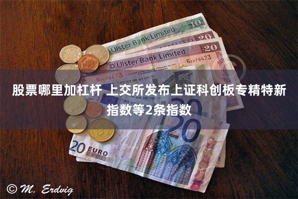股票哪里加杠杆 上交所发布上证科创板专精特新指数等2条指数
