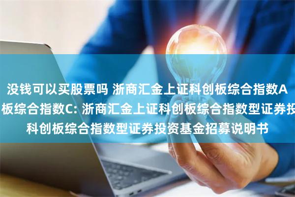 没钱可以买股票吗 浙商汇金上证科创板综合指数A,浙商汇金上证科创板综合指数C: 浙商汇金上证科创板综合指数型证券投资基金招募说明书