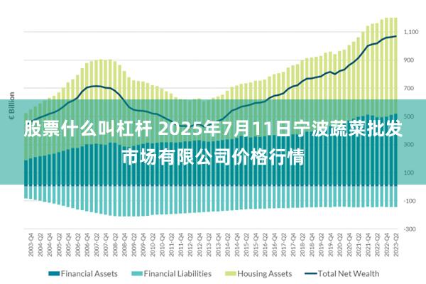 股票什么叫杠杆 2025年7月11日宁波蔬菜批发市场有限公司价格行情