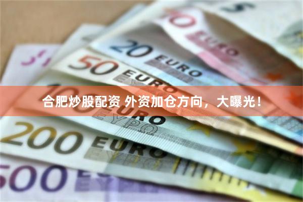 合肥炒股配资 外资加仓方向，大曝光！