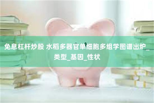 免息杠杆炒股 水稻多器官单细胞多组学图谱出炉_类型_基因_性状