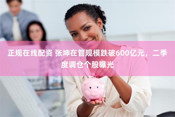 正规在线配资 张坤在管规模跌破600亿元，二季度调仓个股曝光