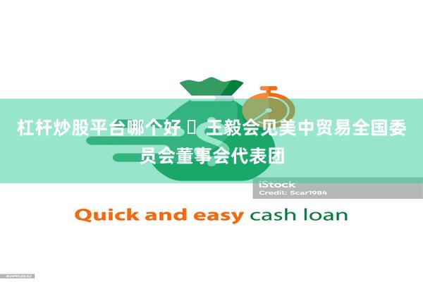 杠杆炒股平台哪个好 ​王毅会见美中贸易全国委员会董事会代表团