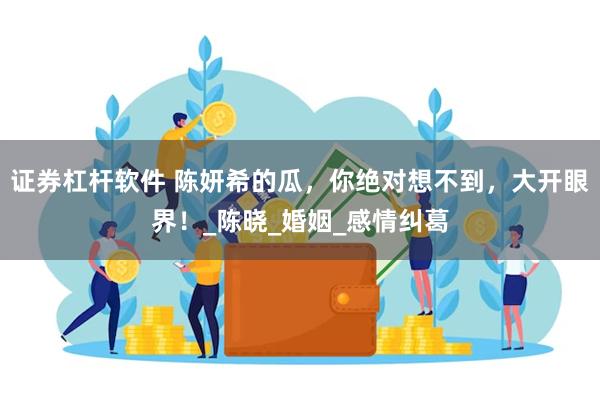 证券杠杆软件 陈妍希的瓜，你绝对想不到，大开眼界！_陈晓_婚姻_感情纠葛