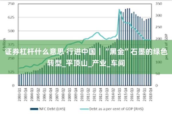 证券杠杆什么意思 行进中国｜“黑金”石墨的绿色转型_平顶山_产业_车间