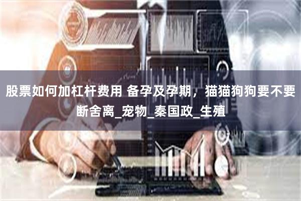 股票如何加杠杆费用 备孕及孕期，猫猫狗狗要不要断舍离_宠物_秦国政_生殖