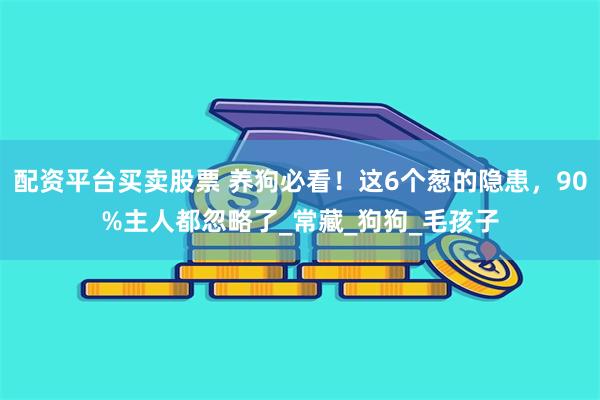 配资平台买卖股票 养狗必看！这6个葱的隐患，90%主人都忽略了_常藏_狗狗_毛孩子