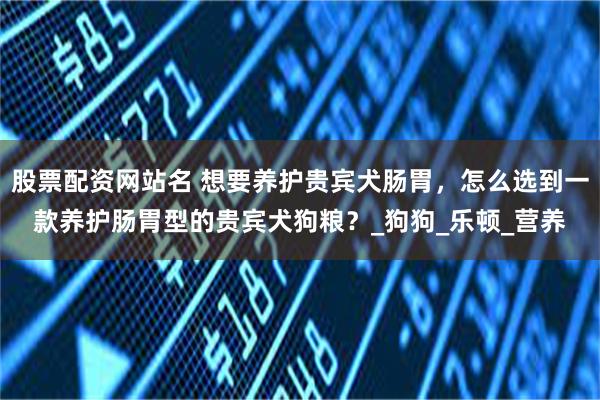 股票配资网站名 想要养护贵宾犬肠胃，怎么选到一款养护肠胃型的贵宾犬狗粮？_狗狗_乐顿_营养