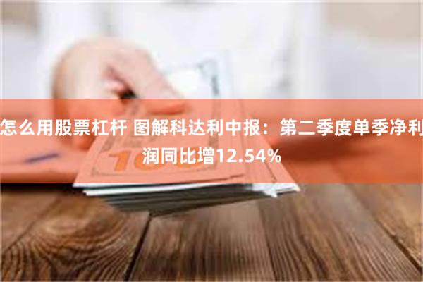 怎么用股票杠杆 图解科达利中报：第二季度单季净利润同比增12.54%